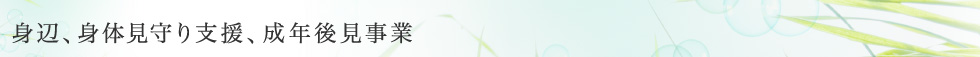 身辺、身体見守り支援、成年後見事業